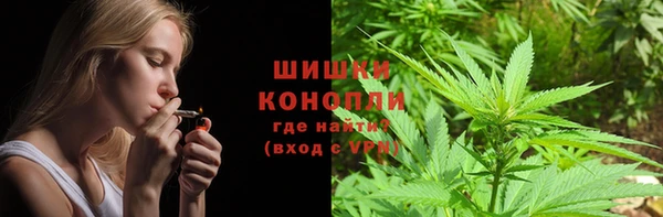 амф Дмитриев