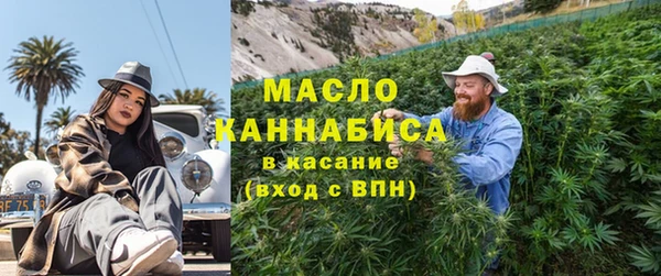 амф Дмитриев