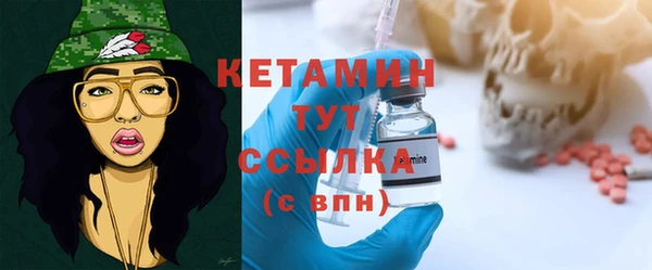 амф Дмитриев