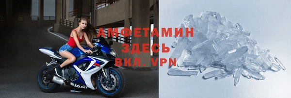амф Дмитриев
