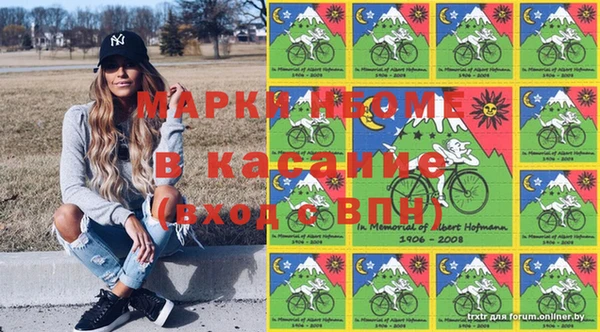 амф Дмитриев