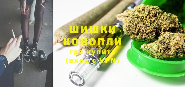 амф Дмитриев