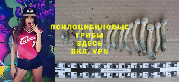 apvp Дмитров