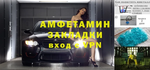 амф Дмитриев