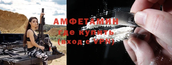 амф Дмитриев